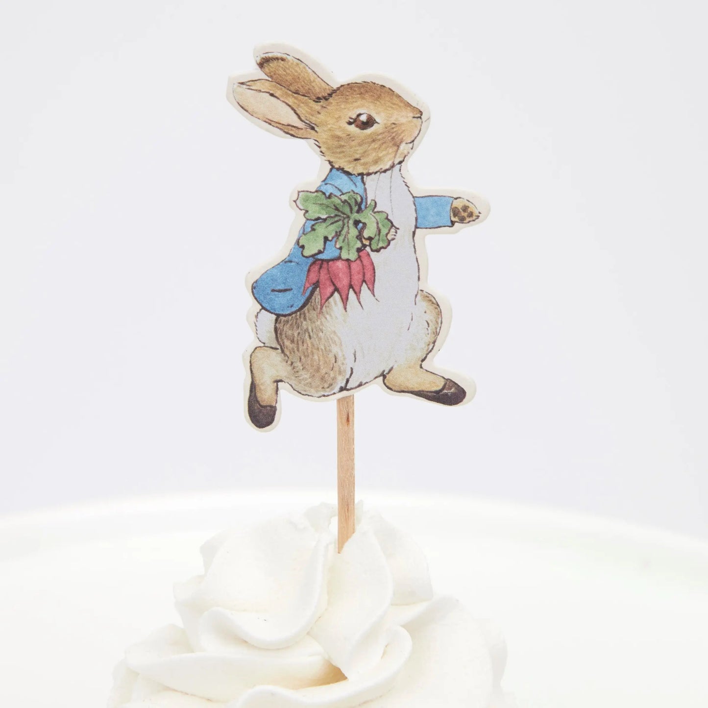 Peter Rabbit & Friends Party Picks, Pack of 12